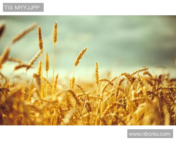 萨林杰的文学世界与心灵探索：从麦田里的守望者看青春的迷茫与追寻