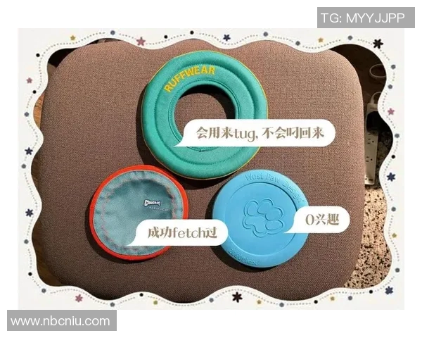 飞盘新手必看：轻松掌握节奏与技巧的全面入门指南