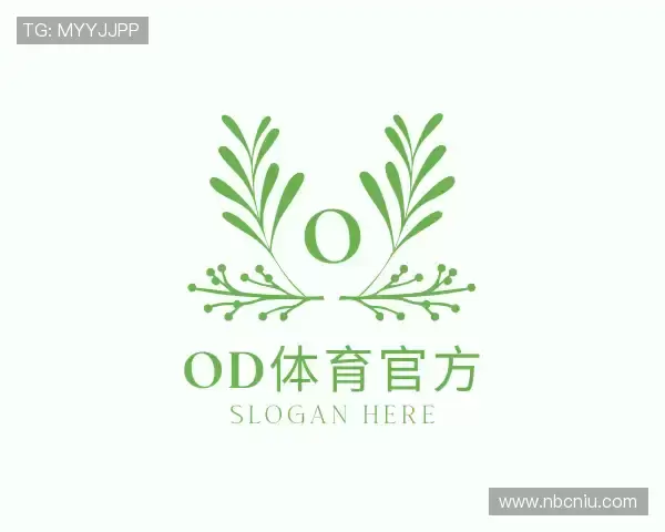 了解OD体育官网